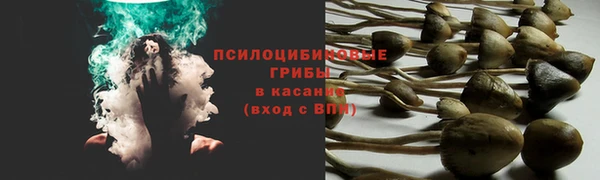 марки lsd Богородицк