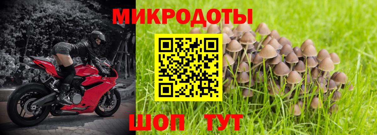 Галлюциногенные грибы мицелий  Галлюциногенные грибы Psilocybe  Вход с VPN  Среднеуральск 
